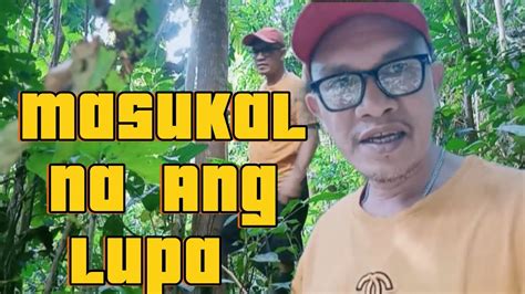 Si Angel at Ang Kanyang Masukal na Gubat .